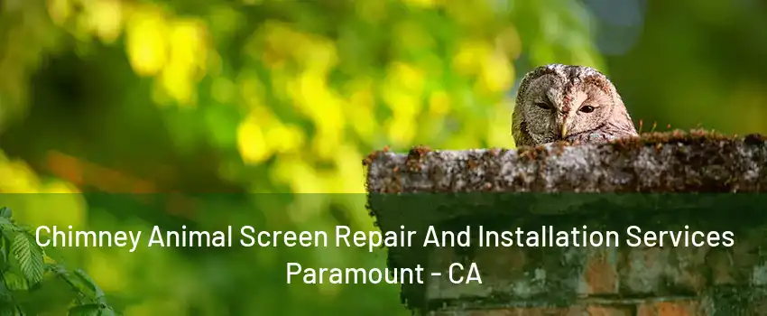 Chimney Animal Screen Repair And Installation Services Paramount - CA