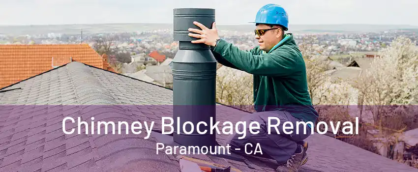 Chimney Blockage Removal Paramount - CA