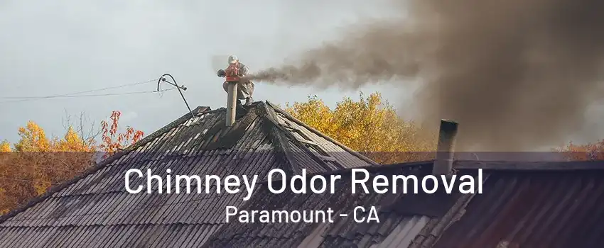 Chimney Odor Removal Paramount - CA