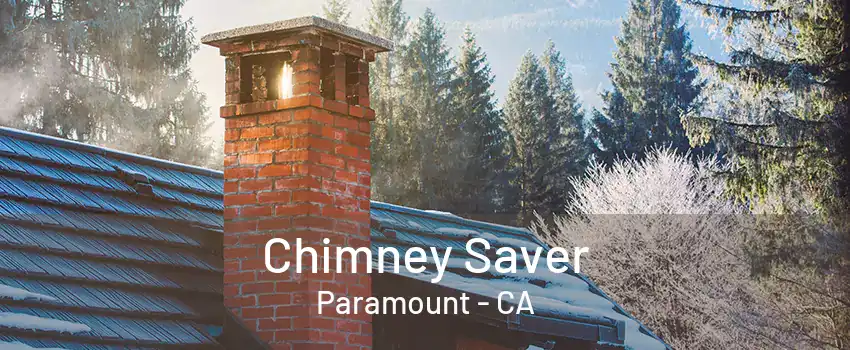 Chimney Saver Paramount - CA