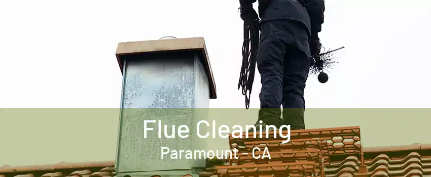 Flue Cleaning Paramount - CA