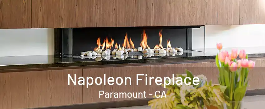 Napoleon Fireplace Paramount - CA